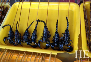 yummy scorpions on a stick on the HE Travel gay China cultural tour