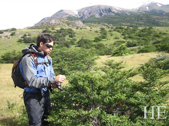 alvaro shares his knowledge of local plants in Chile with HE Travel
