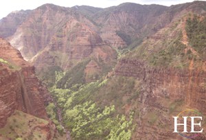 aerial view of Waimea Canyon Kauai Hawaii on HE Travel gay adventure tour