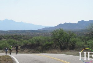 cyclists on a desert road on the HE Travel gay biking tour in Arizona