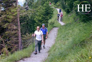 hikers below the tree line in the Swiss Alps on the HE travel gay Switzerland hiking tour near Grindelwald