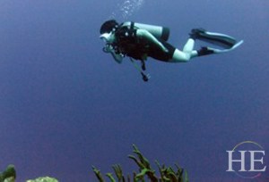 a diver in lavender water on the HE Travel gay scuba trip in Saba