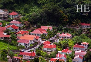 red roofed homes nestled in a verdant forest on the island of saba