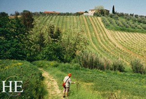 hiking through farmland on the HE Travel gay hiking tour in Tuscany Italy