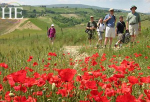 hiking in a field of poppies on the HE Travel gay hiking tour in Tuscany Italy