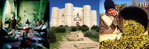 friendly meal, castel del monte, olive harvest in puglia italy on the HE Travel gay culinary tour