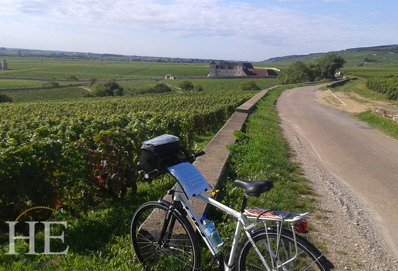 A bike sits in the foreground of vast green fields in the Burgundy region of France on HE Travel's Colors of Burgundy Tour.