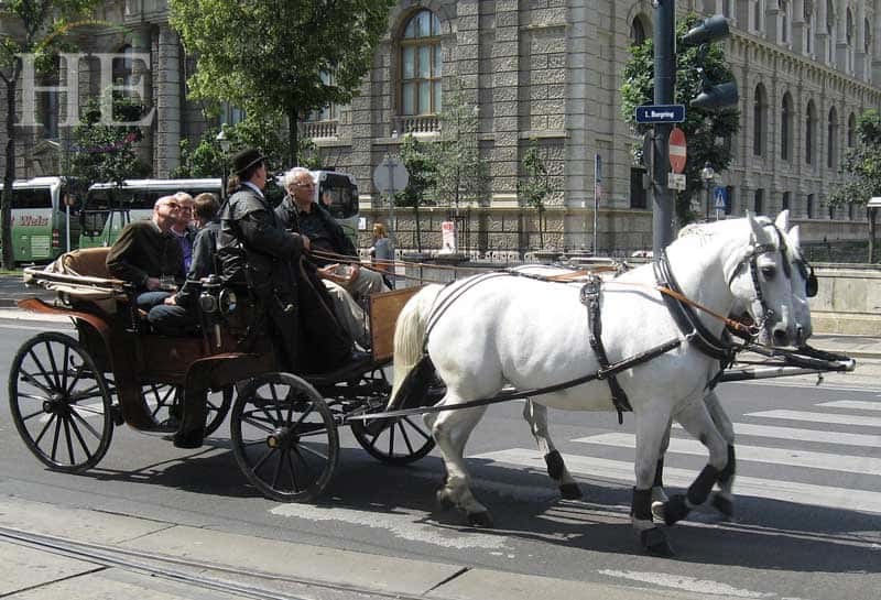 taking a carriage ride on the HE Travel gay cultural tour through capital cities of central Europe