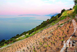 steep agricultural land on the HE Travel gay Croatia cultural tour