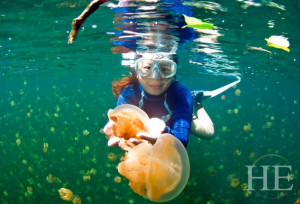 jellyfish lake on the HE Travel gay scuba Palau trip