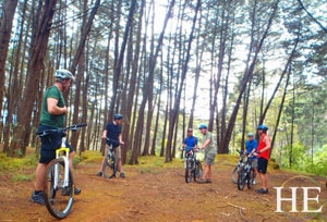 Mountain bikers in the forest.