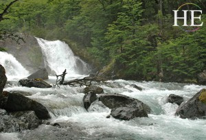 woods and rivers of patagonia on the HE Travel gay Argentina tour