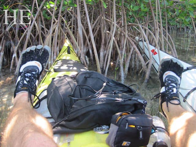 kayaking into the mangroves with HE Travel