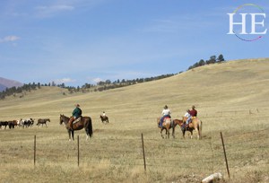 rounding up the livestock on the ranch on HE Travel gay montana adventure