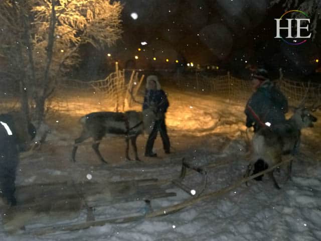 reindeer pull us around an ice track in sweden at the ice hotel