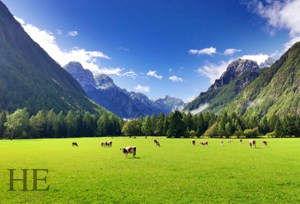 verdant valley on the HE Travel gay bike tour in Slovenia
