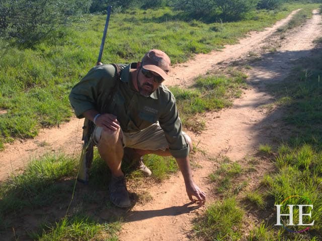 our local guide and tracker jurann explains the footprints of the animals we are tracking in south africa