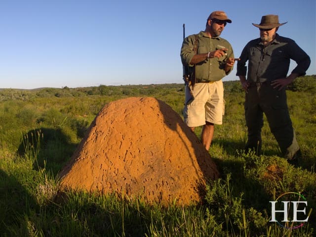 our local guide jurann explains to sam sirkop the life cycle of these african termites