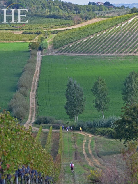 Hiking trail among the vineyards on the HE Travel gay hiking tour in Tuscany Italy
