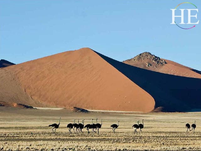 red dunes of the Namib on the HE Travel gay safari in Namibia
