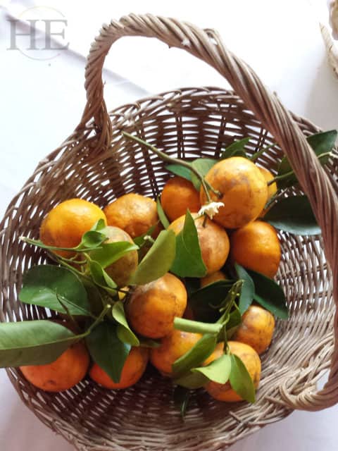 basket of tangerines on the Gay Mexico trip with HE Travel