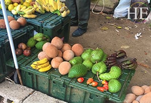 a colorful fruit stand in cuba