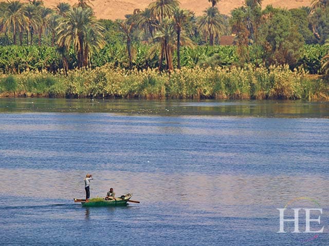 local fishermen on the nile river with a verdant palm forest in the background 