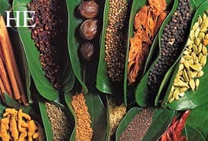 banana leaf bundles of colorful spices in sri lanka