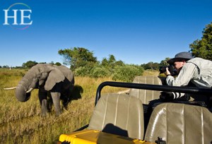 taking a pic of an elephant while on the HE Travel Gay Safari in Botswana