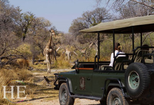 giraffe walks toward open safari vehicle on the HE Travel Gay Safari in Botswana-botswana-luxury-gay-safari-HETravel-tours-travel