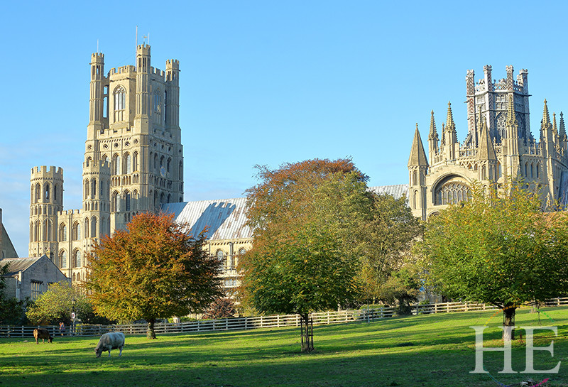 Ely Cathedral lies in the distance with colorful trees, grass and cows in the foreground on HE Travel's United Kingdom Town and Country Tour.