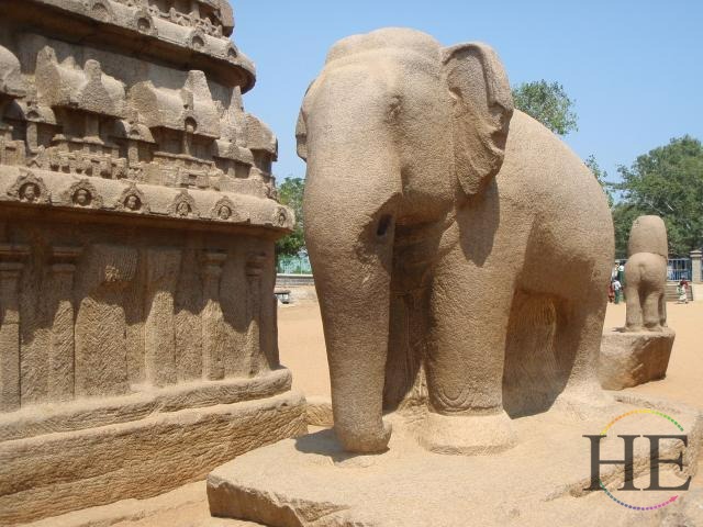 Jewels of India Jaipur Elephant