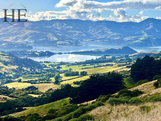 Akaroa Wild Kiwi New Zealand