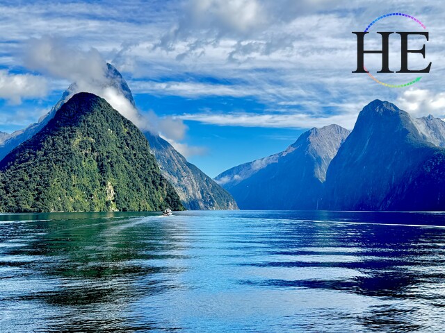 Milford Sound Wild Kiwi tour