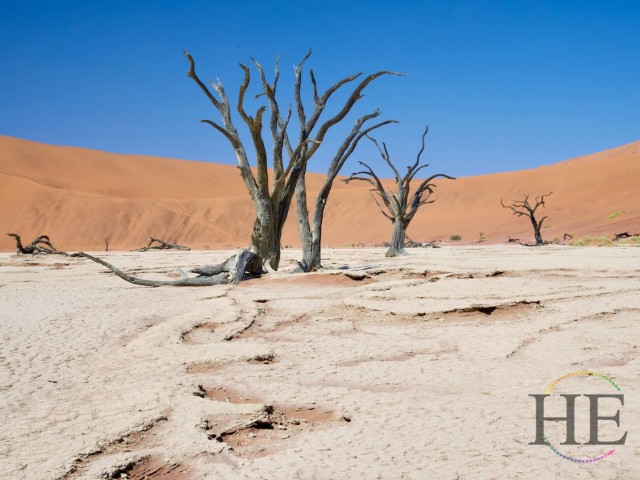 Deadvlei Namibia