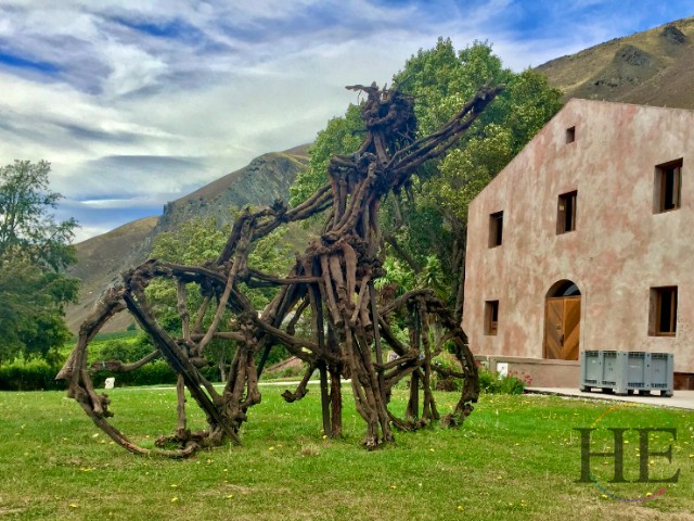 Vineyard Queenstown New Zealand 