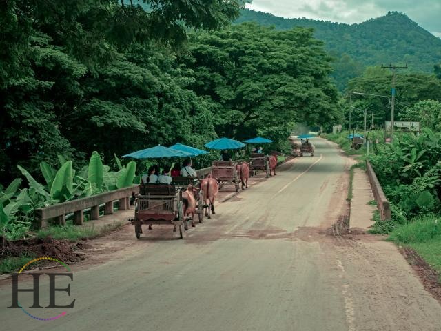 Thailand Ox Cart