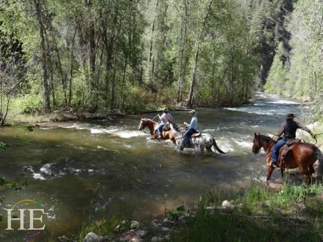 SW Gay Colorado Dude Ranch Adventure Tour