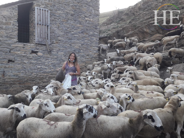 Spain Pyrenees Shepherd Experience