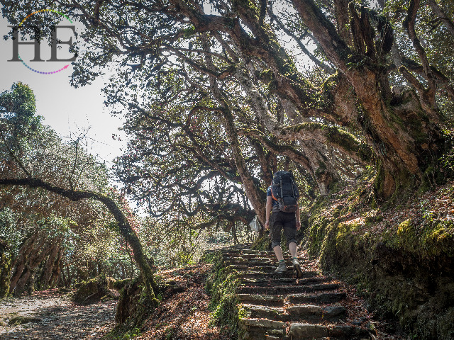 Poon Hill Nepal Trekking Adventure