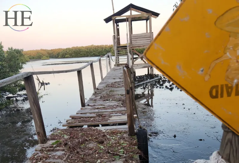 Cedar Key Dock After Hurricane Debby debri everywhere