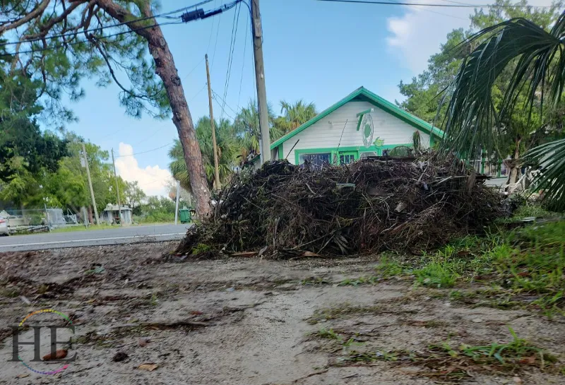 Massive plant debris pile blocks view of neighboring shop following hurricane debby